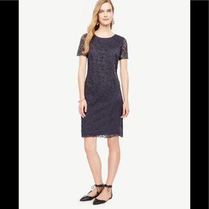 Navy Ann Taylor Shift Dress